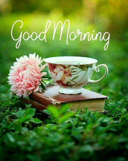 Good morning