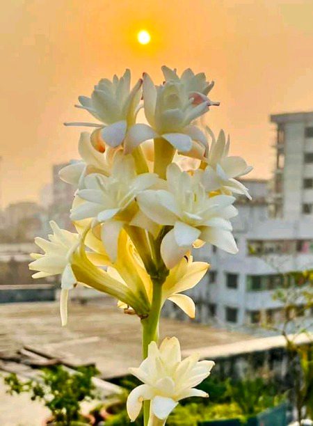 Beautiful Nature image