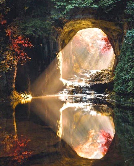 Beautiful Nature image