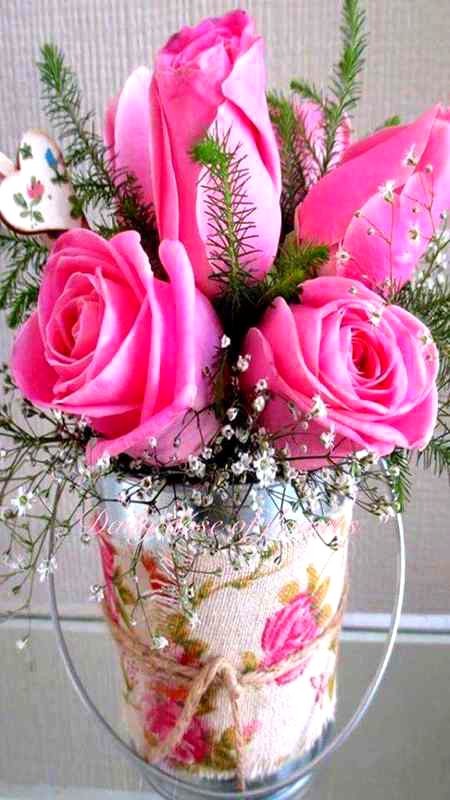 Beautiful Nature image