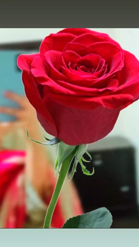 Beautiful Nature image