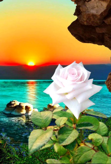 Beautiful Nature image