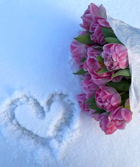 Beautiful Nature image