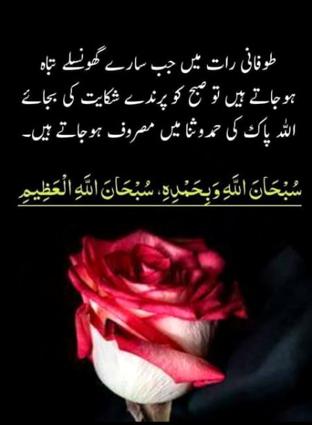 Islamic Quotes image