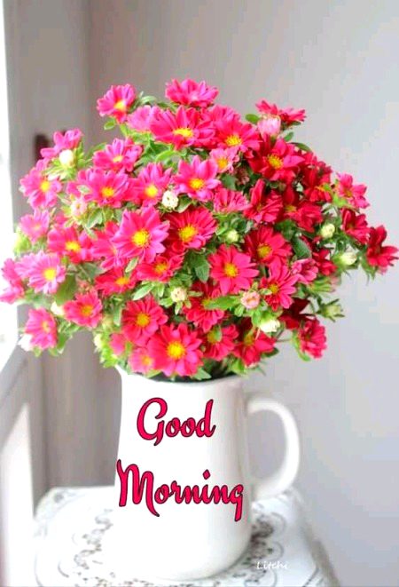 Beautiful Nature image