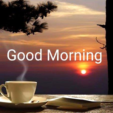 Good morning