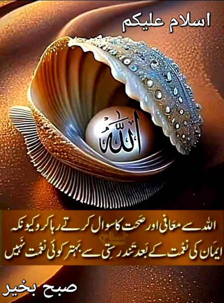 Islamic Quotes image