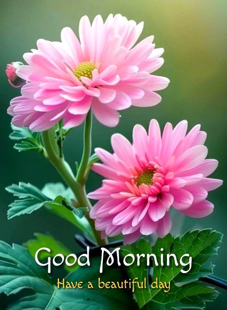Good morning