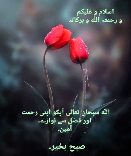 Good morning