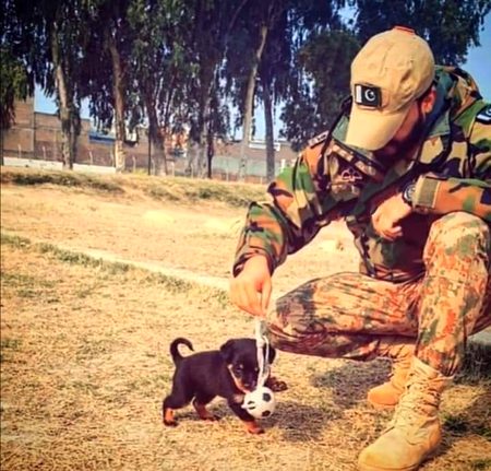 Beautiful Nature image