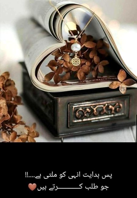 Islamic Quotes image