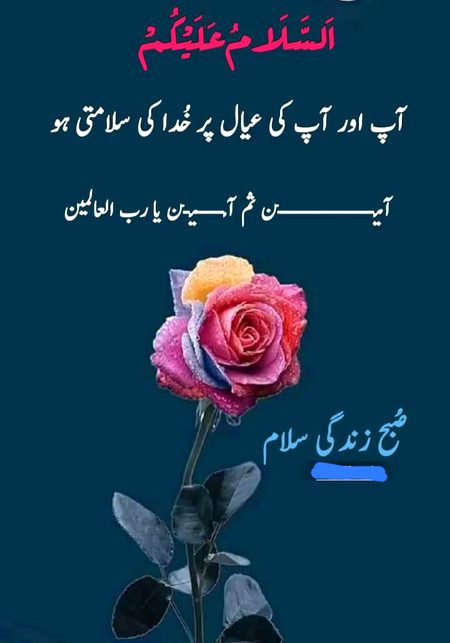 Islamic Quotes image