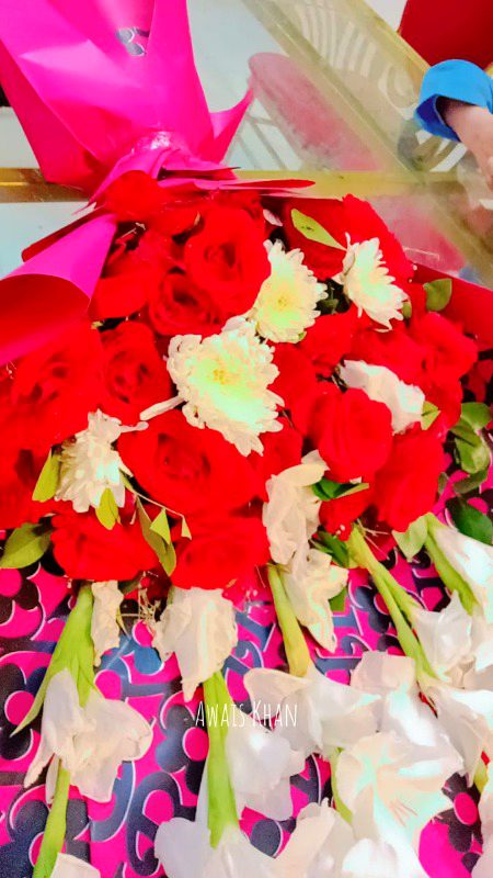 Beautiful Nature image