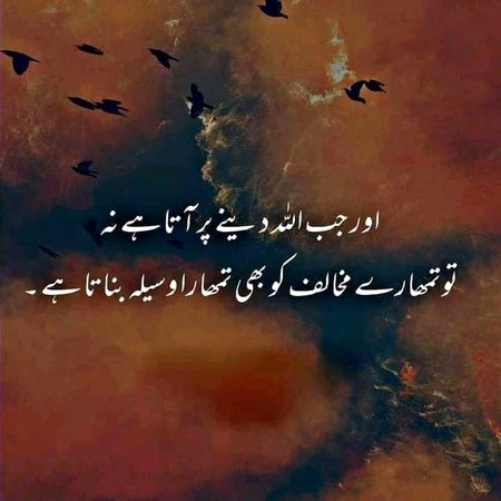 Islamic Quotes image