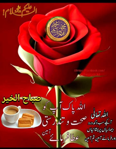 Islamic Quotes image