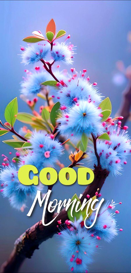 Beautiful Nature image