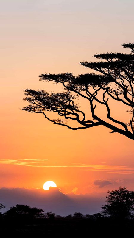 Beautiful Nature image