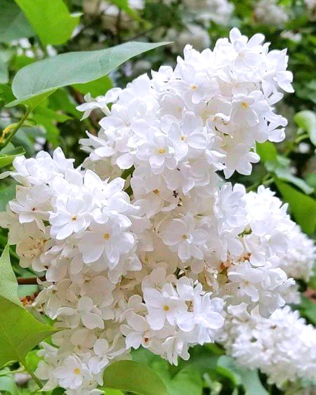 Beautiful Nature image