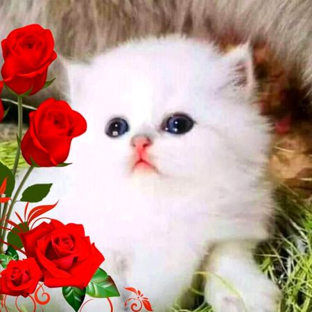Digital Art image