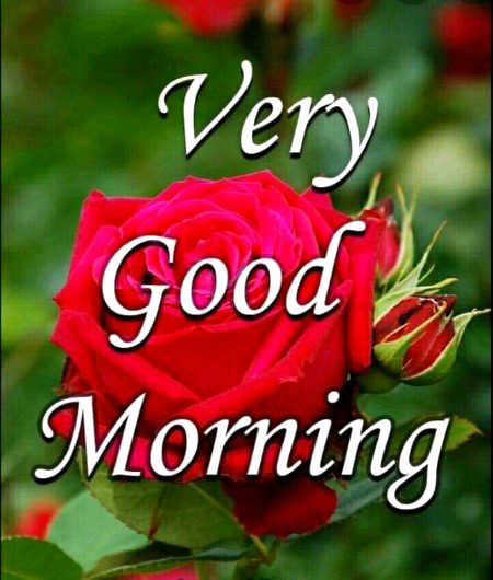 Good morning