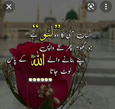 Islamic Quotes image