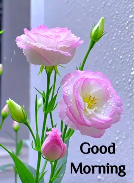 Beautiful Nature image