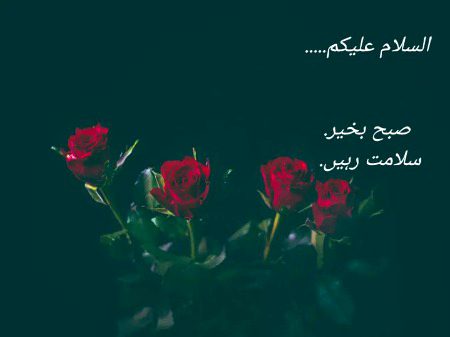 Good morning