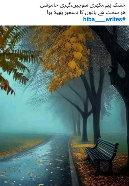 Beautiful Nature image