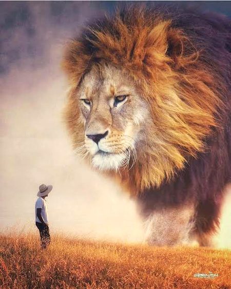 Attitude Poetry image