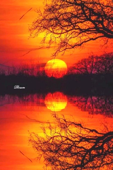 Beautiful Nature image