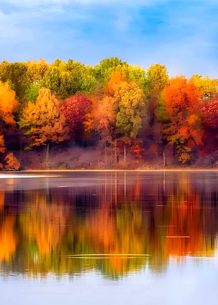 Beautiful Nature image