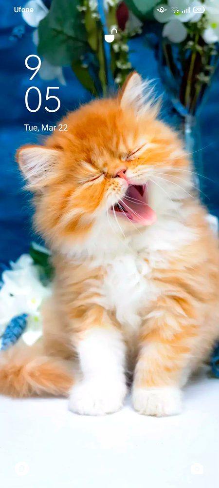 Good morning
