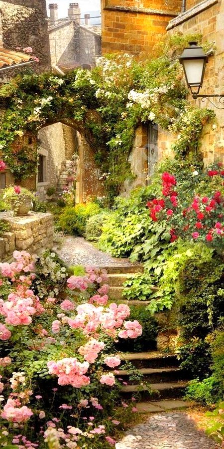 Beautiful Nature image