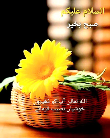Good morning