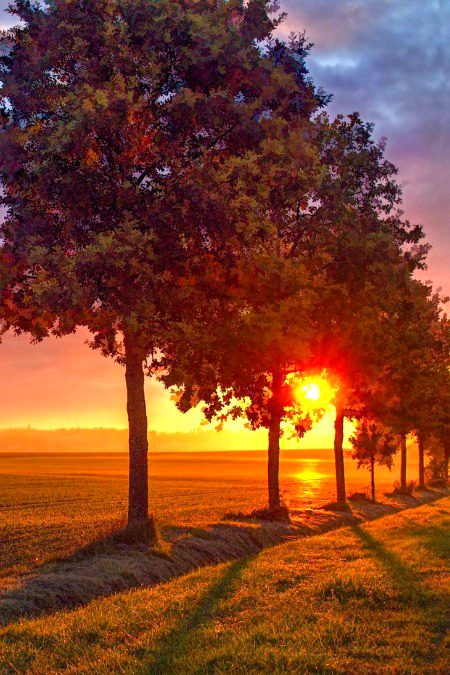 Good morning