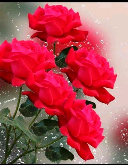 Beautiful Nature image