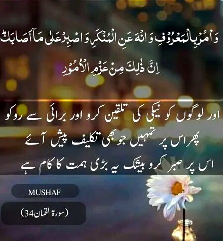 Islamic Quotes image