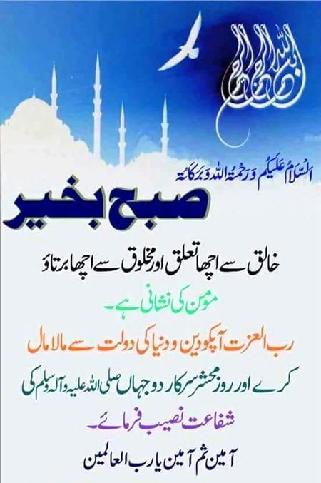 Islamic Quotes image