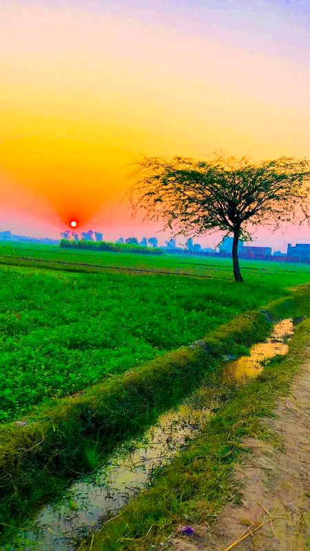 Good morning