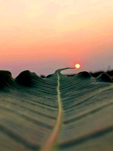 Beautiful Nature image