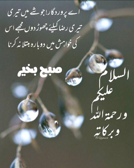 Islamic Quotes image