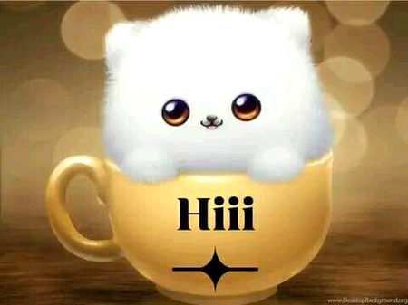 Good morning