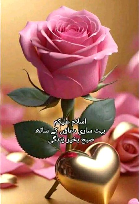 Islamic Quotes image