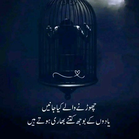Good night