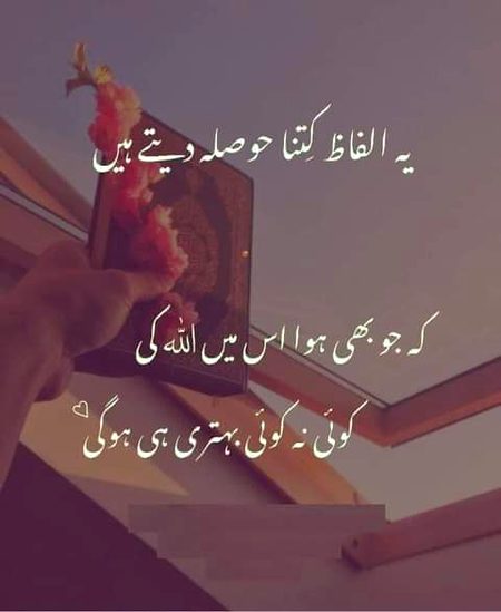Good night