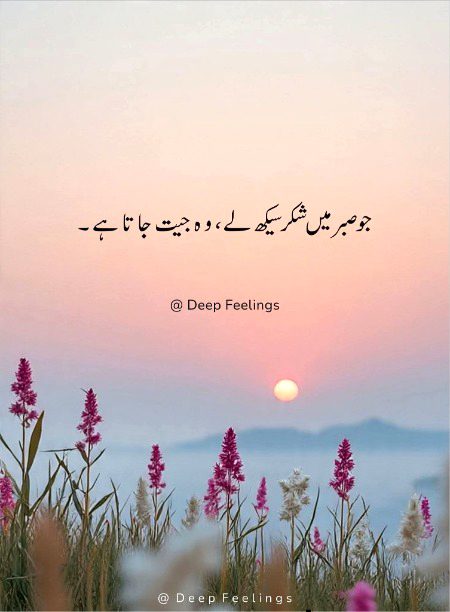 Motivational Quotes image