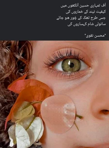 Romantic Poetry image