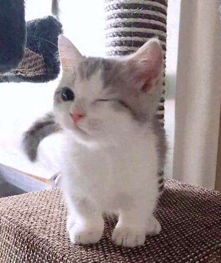 Beautiful Nature image