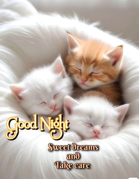Good night