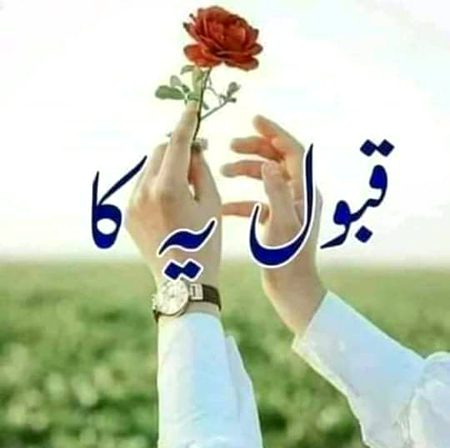 Good night